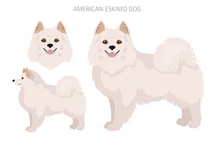 American Eskimo Dog Clipart