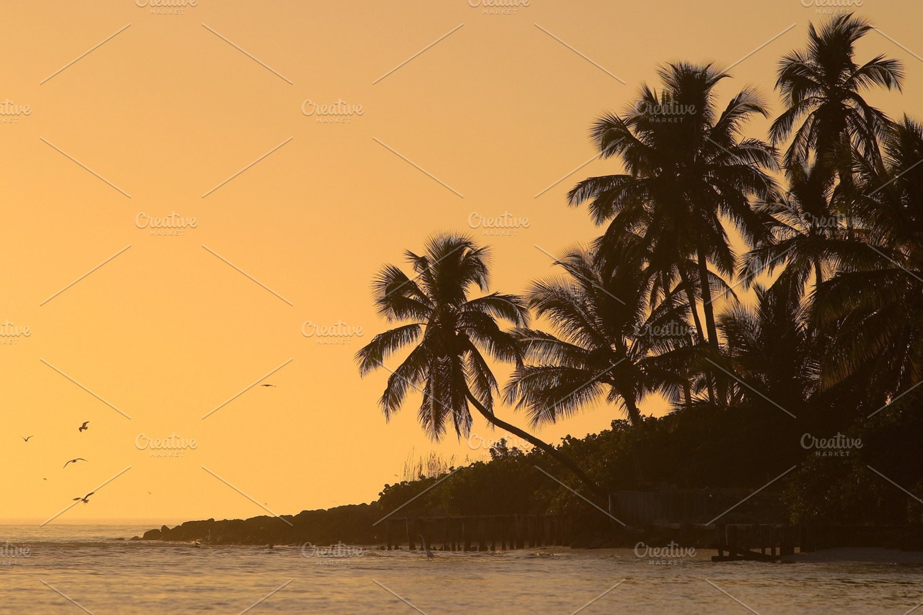 Sunset at the beach stock photo containing naples and florida, a Nature Photo by Andrew Schubert Visuals