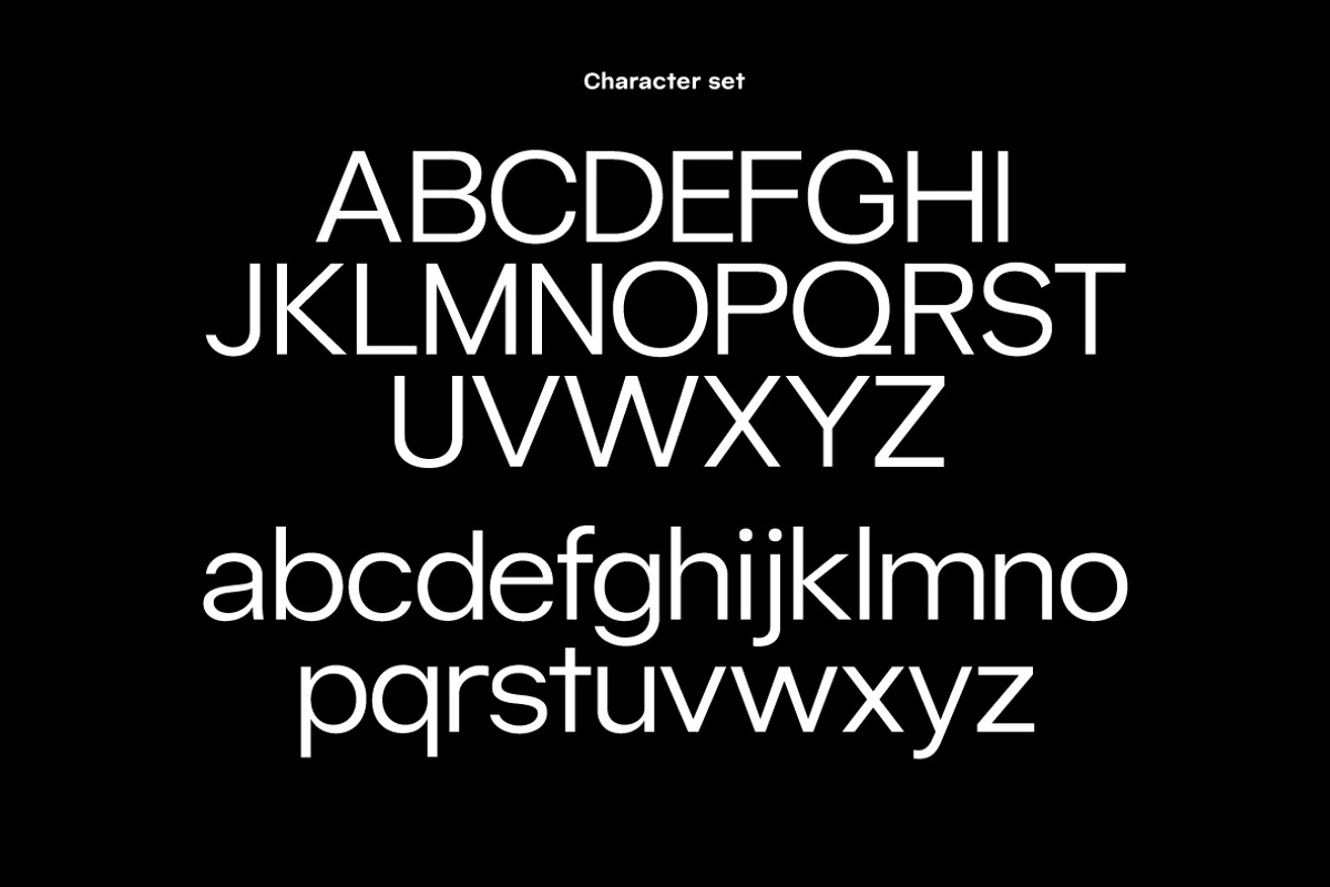 Caliburn Grotesk | Modern Variable, a Sans Serif Font by InkwellTypeCo (Photo 15 of 15)
