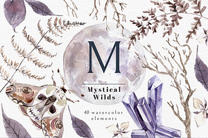 Mystical Wilds. Watercolor set.