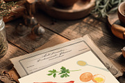 Rustic Italian Pizza Recipe Set, a Food Illustration by Sunshine Art (Thumbnail 3 of 10)