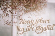 Fendysa - Calligraphy Font, a Script Font by StringLabs (Thumbnail 6 of 14)