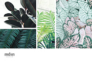 Tropic | Tropical Green Photo Bundle, a Nature Photo by MDSN Design (Thumbnail 4 of 16)