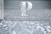 Shadow Garden Botanical Monograms, an Illustration by Eclectic Anthology (Thumbnail 15 of 15)
