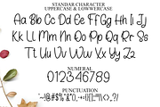 Kingdom Santaclaus, a Handwritten Font by FreshTypeINK (Thumbnail 3 of 8)