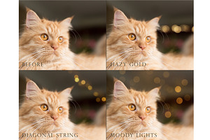 Simple Bokeh Photoshop Overlays