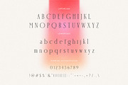 Flaroper || Modern Ligature Serif, a Serif Font by BrandSemut (Thumbnail 8 of 8)