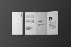 DL Trifold Brochure Mockup Kit