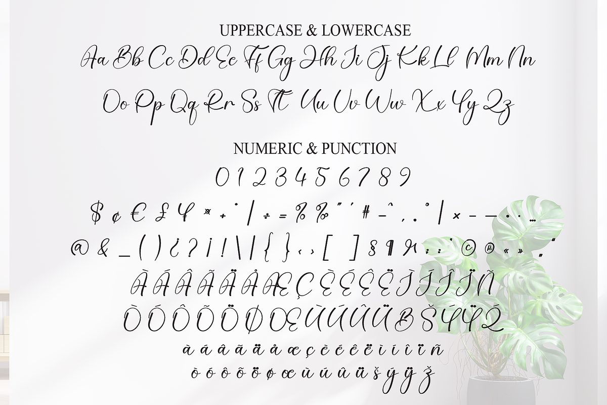 Second | Script Font, a Handwritten Font by Scratchones (Photo 7 of 9)