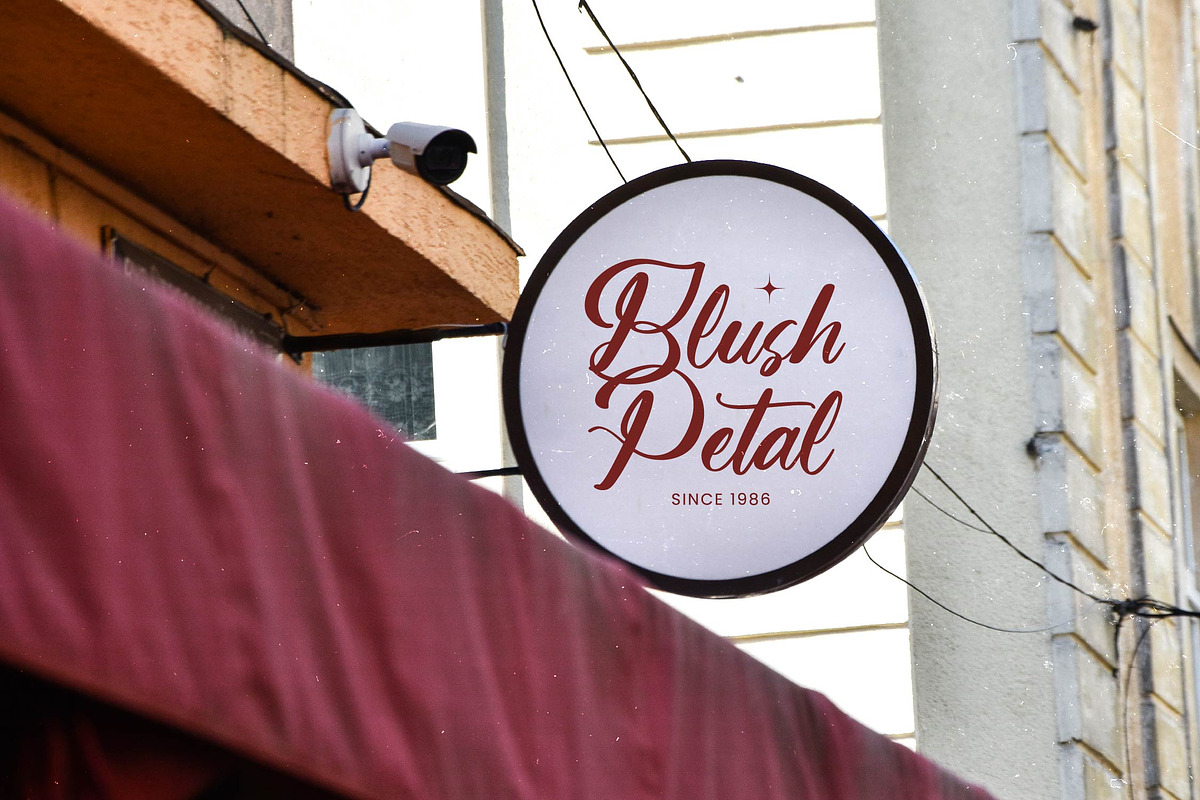 Aurelie Unitem Bold Calligraphy Font, a Serif Font by Letterena Studios Script (Photo 11 of 20)
