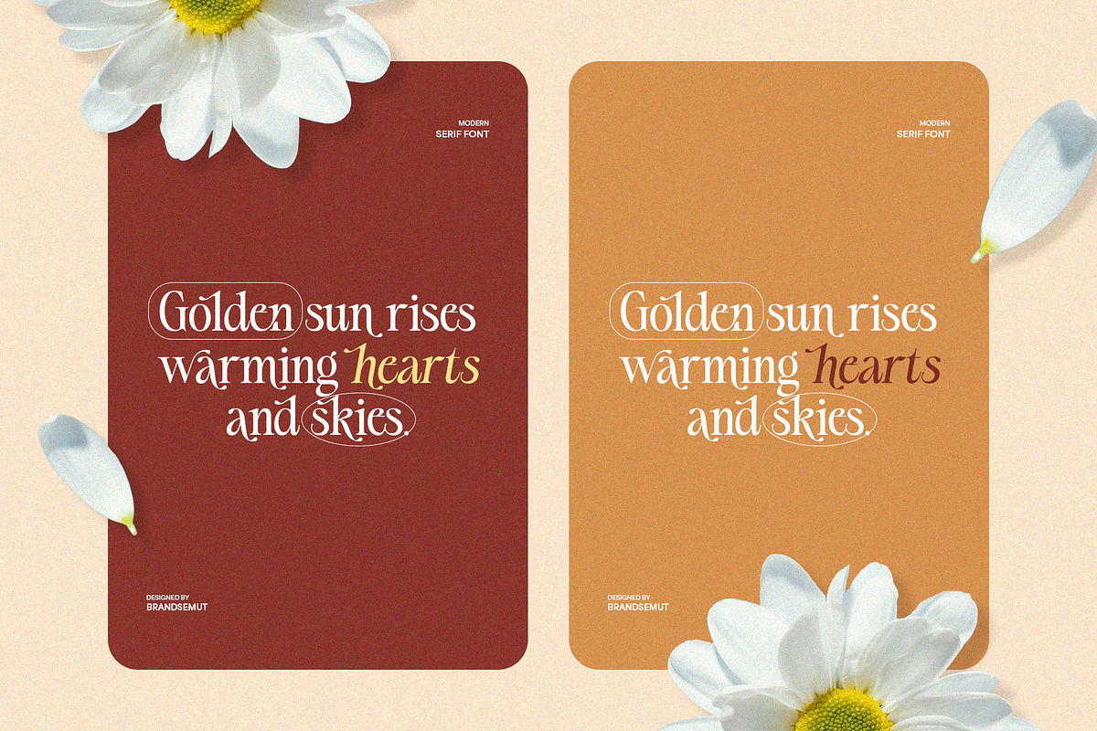 Silvena – Modern Elegant Serif Font, a Serif Font by BrandSemut (Photo 3 of 10)
