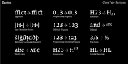 Danton, a Serif Font by Hoftype (Thumbnail 15 of 15)
