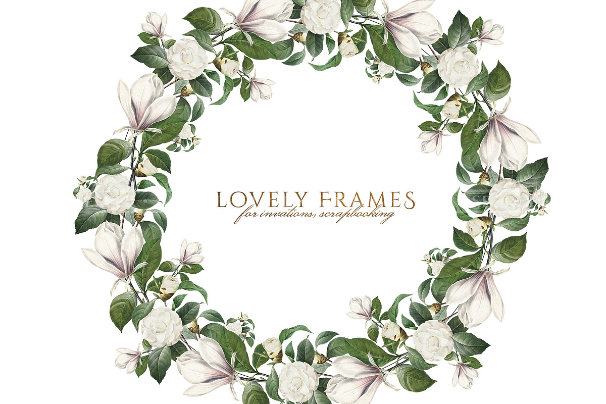 White Floral Clipart, Wreath, Frames, an Illustration by Secret Helper (Photo 4 of 9)