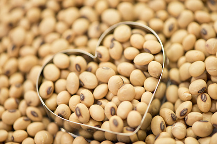 Soy bean on heart, a Food & Drink Photo by PeoGeo Studio