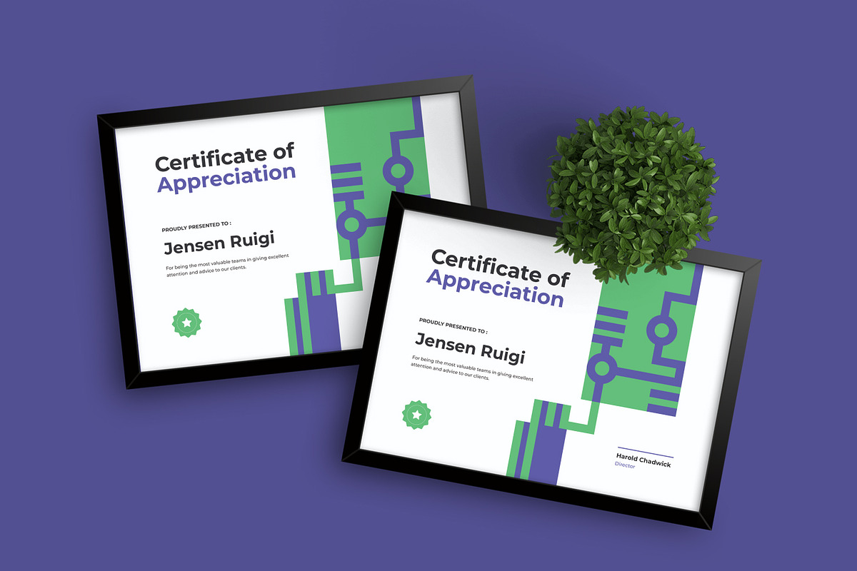 Appreciation - Certificate, a Brochure Template by Izdihaar_Studio (Photo 3 of 3)
