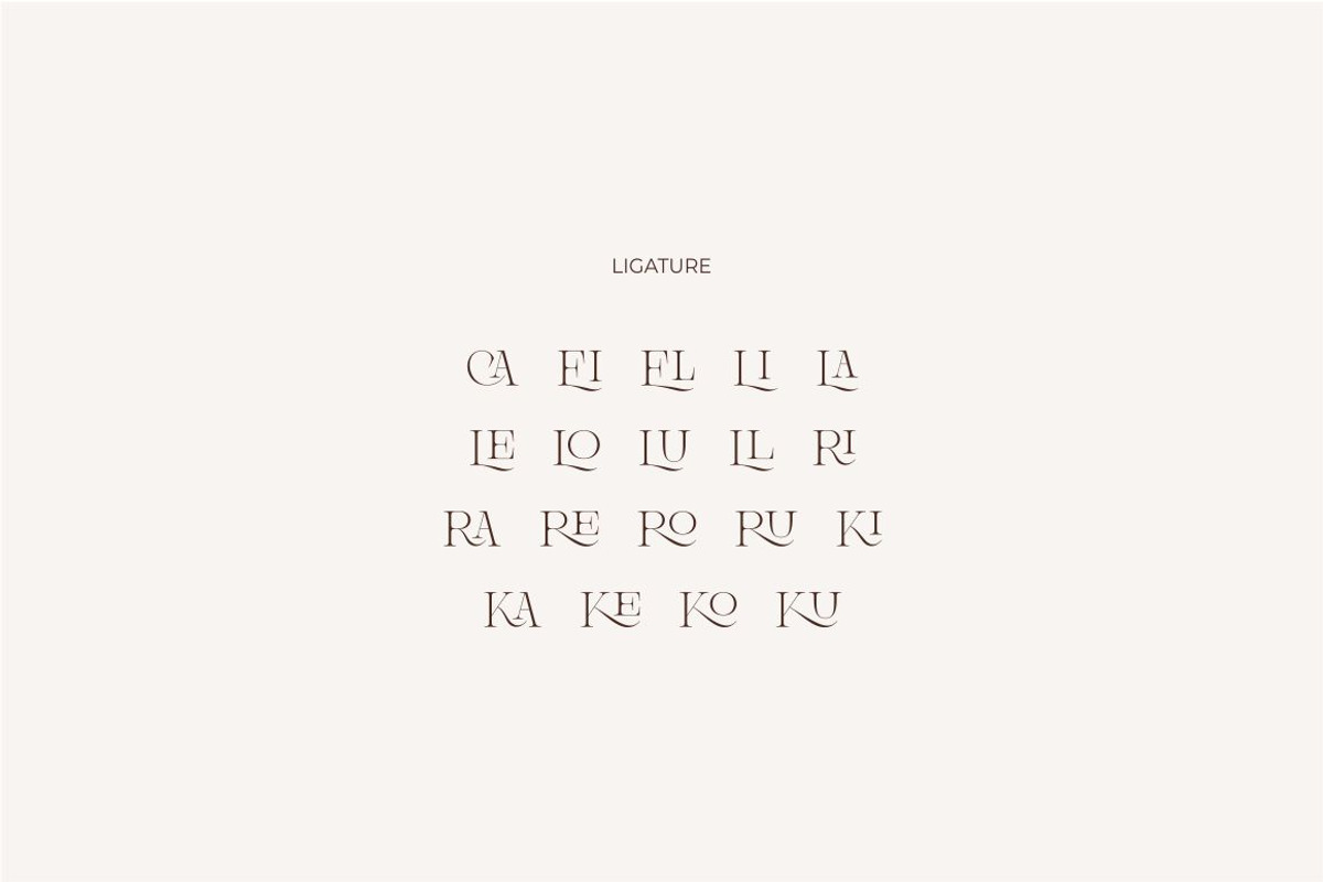 Brisca Miera - Chic Ligature Font, a Serif Font by suhadidesign (Photo 12 of 13)