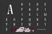 Astella Luxury - Branding Logo Font, a Serif Font by Nirmana Visual (Thumbnail 12 of 16)