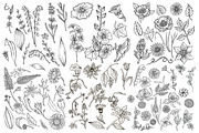 Vector plants and flowers, an Illustration by risovanya (Thumbnail 2 of 5)