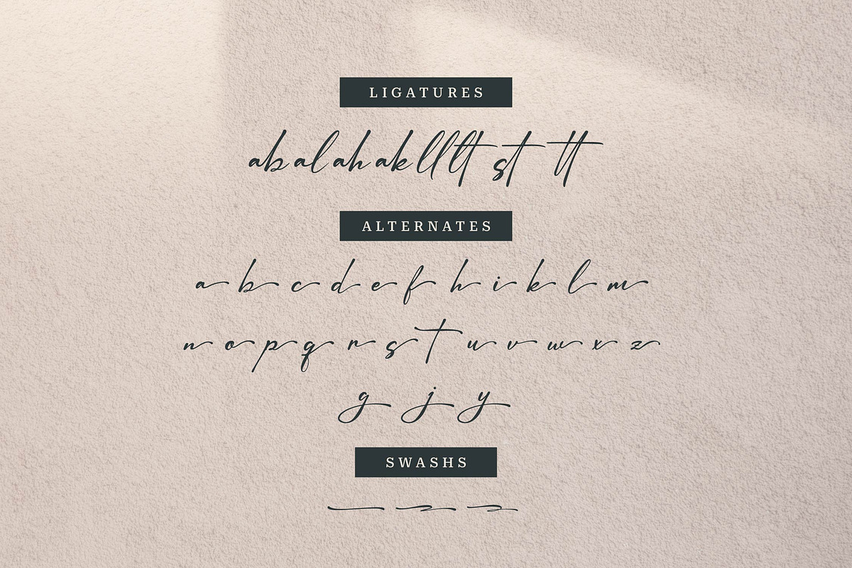 Barettiny Monteilo | Script Font, a Script Font by Denustudios (Photo 12 of 14)