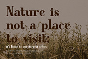Giyane Modern Ligature Serif Font, a Serif Font by Perfectype (Thumbnail 5 of 6)