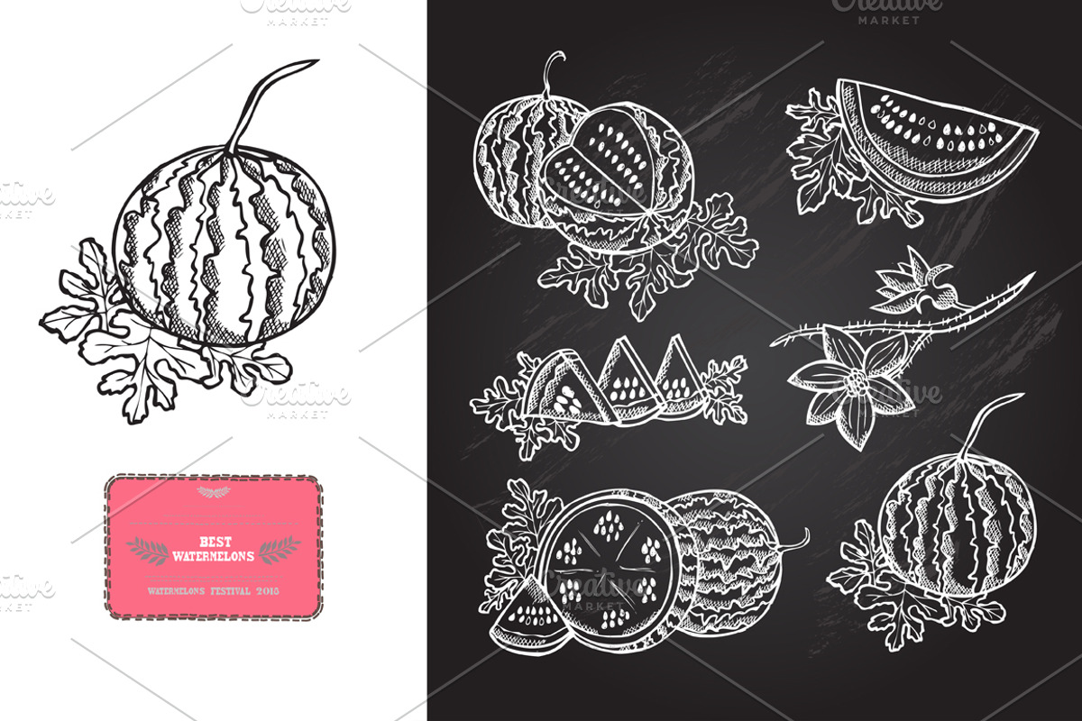 Hand Drawn Watermelons, a Food Illustration by Sunset&Sea Design