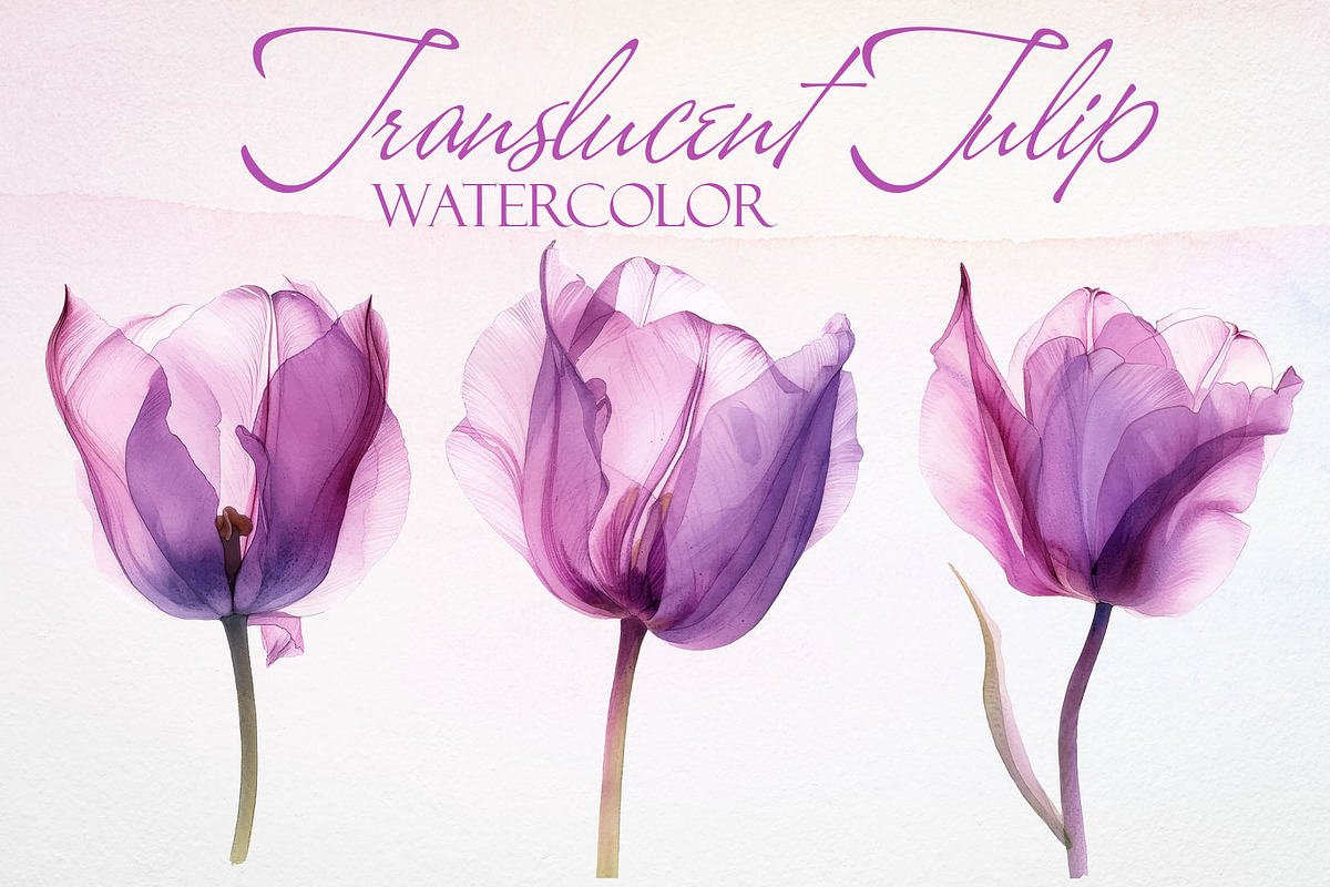 Watercolor Translucent Tulip Vector, a Pattern Graphic by Deckar_art (Photo 1 of 5)