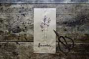 Herbs set, a Food Illustration by Tabita's shop (Thumbnail 2 of 5)