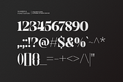 Noorliza - Modern Serif Font, a Serif Font by Aksapix Studio (Thumbnail 10 of 12)