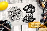 Mussels. Seafood menu illustrations, a Food Illustration by Alena Kaz (Thumbnail 3 of 4)