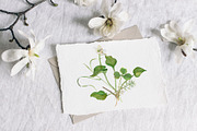 Watercolor: set of forest elements, a Graphic by WatercolorAnn (Thumbnail 9 of 13)