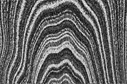Wild Stripes, a Texture Graphic by Jennifer Lauren Creative (Thumbnail 11 of 16)