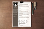 Zero | Clean Resume, a Resume Template by Dqa (Thumbnail 3 of 3)