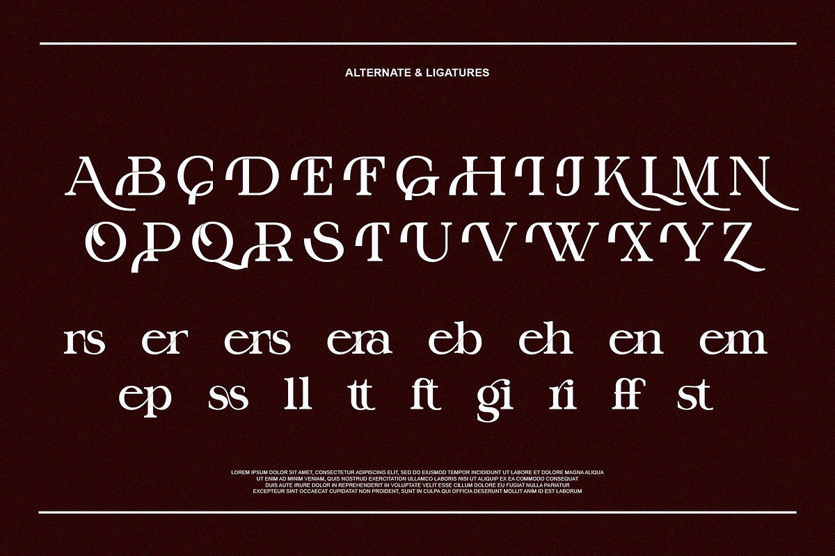 Billker Elegant Ligature Serif, a Serif Font by Alfinart (Photo 8 of 10)