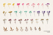 231 Vintage Dried Flowers, an Object Graphic by Ksuview (Thumbnail 6 of 8)