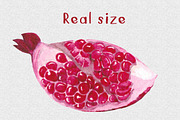 Watercolor Pomegranates Floral Set, a Decorative Illustration by WBS Design (Thumbnail 7 of 7)