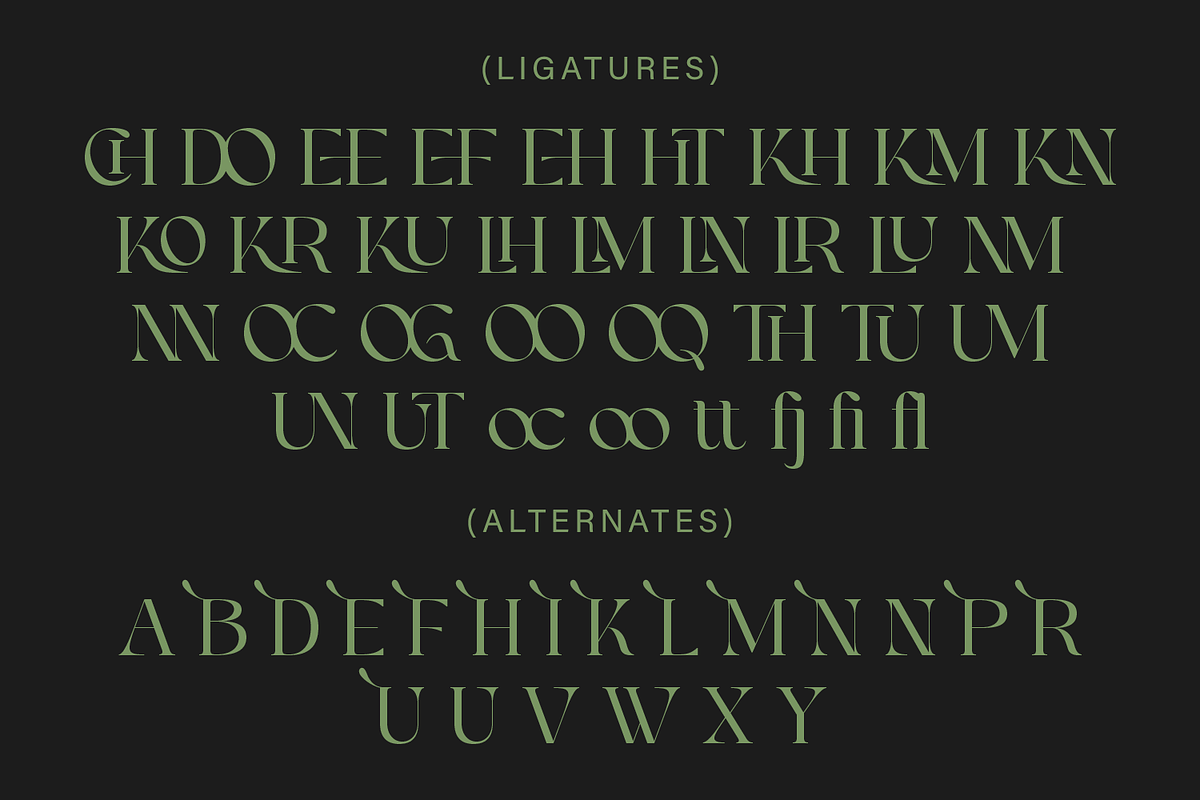 Chermy, a Serif Font by Zaloma Studio (Photo 16 of 17)