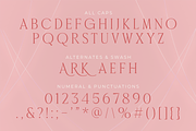 Classic Gallery – Claasic Condense, a Serif Font by Almarkhatype (Thumbnail 8 of 10)
