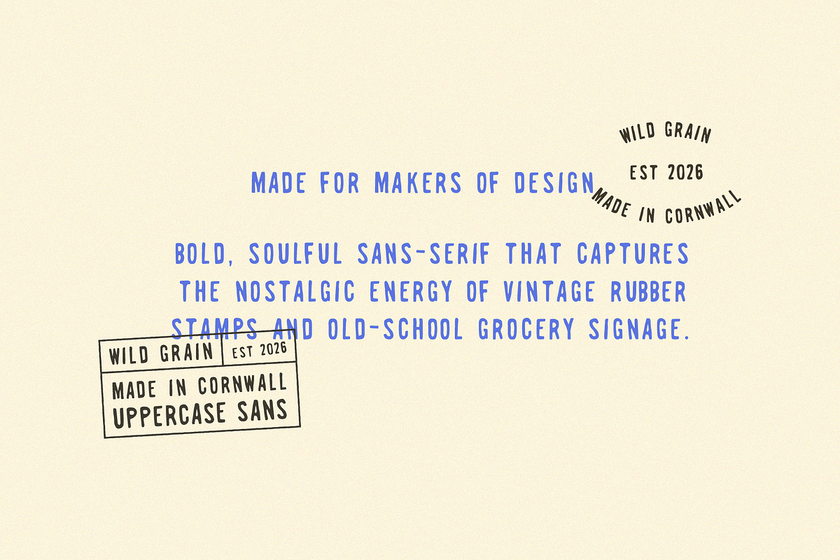 Wild Grain | A Bold Retro Stamp Sans, a Sans Serif Font by Courtney Flannagan Design (Photo 4 of 7)