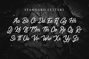 Restaconme Modern Script Font, a Script Font by Endeavour Studio™ (Thumbnail 6 of 12)