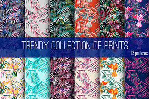 Trendy collection of prints.