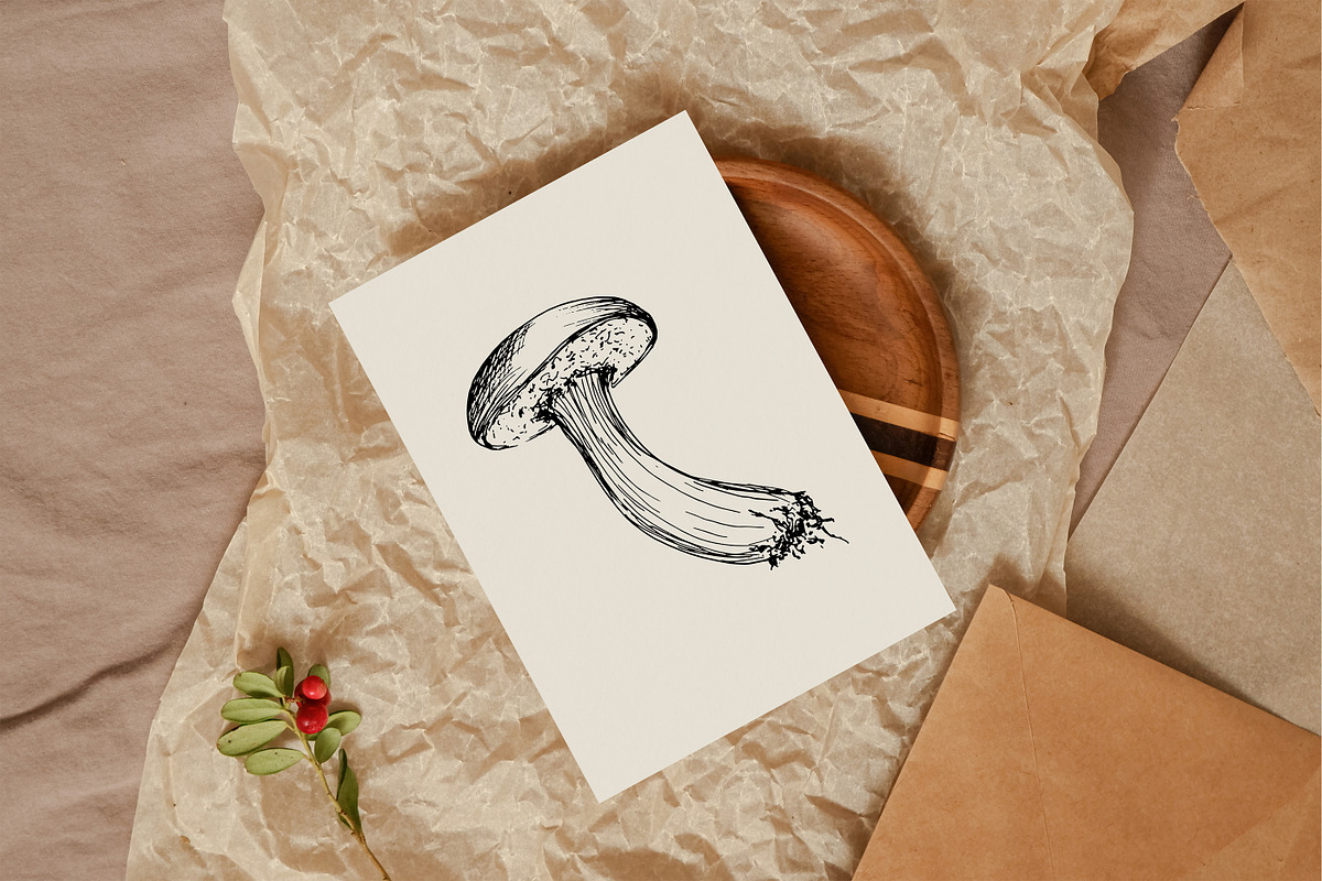 Set of Edble Hand Drawn Mushrooms, an Object Graphic by NataliArkushArt (Photo 4 of 4)