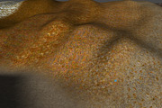 AUTUMN AND WINTER TEXTURE PACK, a Textures & Material 3D Model by Beatheart Creative Studio (Thumbnail 51 of 58)