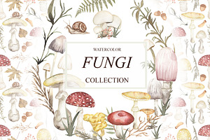 Watercolor Mushrooms Collection
