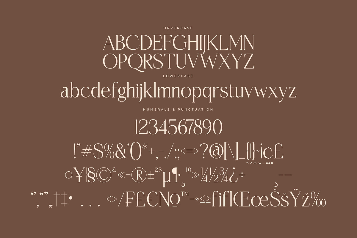 Casselin Modern Serif Font, a Serif Font by Letterena Studios (Photo 13 of 15)
