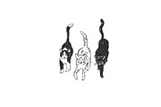 Funny Cats Line Art Bundle, an Illustration by Anastasiya Klempach (Thumbnail 4 of 19)