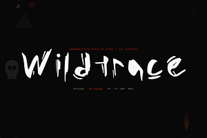 Wildtrace — Handwritten Display Font