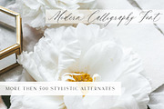 Saint Viet | Calligraphy Font, a Script Font by Calamar Studio (Thumbnail 3 of 29)