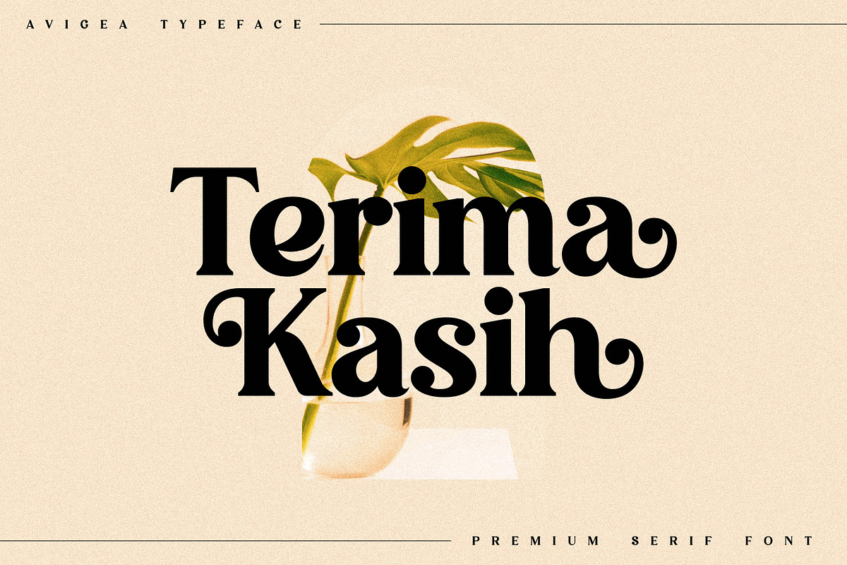 Avigea Modern Serif Font Display, a Script Font by Storytype Studio (Photo 10 of 10)
