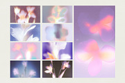 Bloom Veil: Dreamy Floral, a Background Graphic by Hello Muse (Thumbnail 9 of 10)