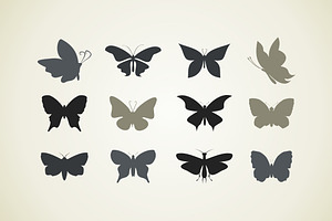 Collection The Butterfly